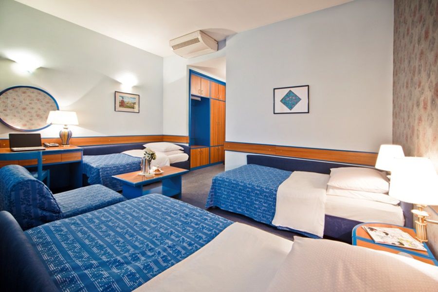 Hotel Central Hotel 3*